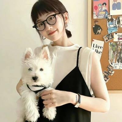 房车奇遇封面